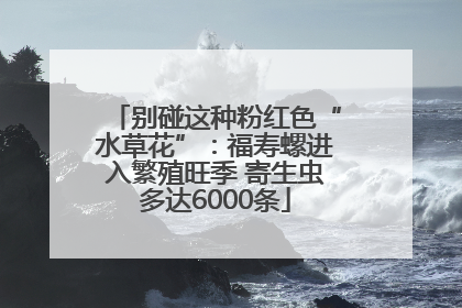 别碰这种粉红色“水草花”：福寿螺进入繁殖旺季 寄生虫多达6000条