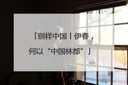 别样中国丨伊春，何以“中国林都”