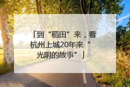 到“稻田”来，看杭州上城20年来“光阴的故事”