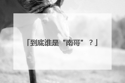 到底谁是“南哥”？