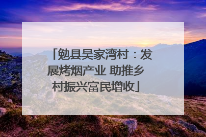 勉县吴家湾村：发展烤烟产业 助推乡村振兴富民增收