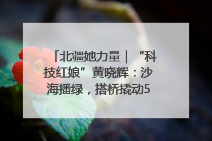 北疆她力量｜“科技红娘”黄晓辉：沙海播绿，搭桥撬动5.3亿研发