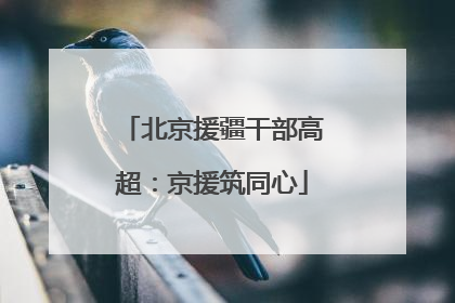 北京援疆干部高超：京援筑同心