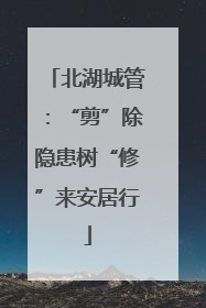 北湖城管：“剪”除隐患树“修”来安居行