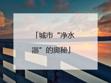城市“净水器”的奥秘