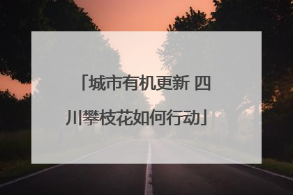 城市有机更新 四川攀枝花如何行动