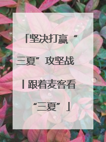 坚决打赢“三夏”攻坚战丨跟着麦客看“三夏”