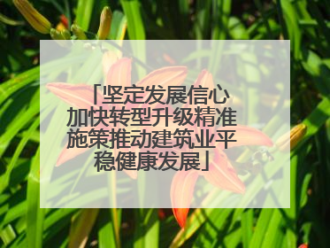 坚定发展信心 加快转型升级精准施策推动建筑业平稳健康发展