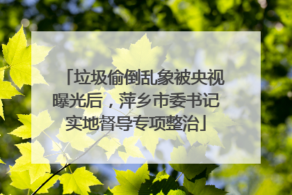 垃圾偷倒乱象被央视曝光后，萍乡市委书记实地督导专项整治