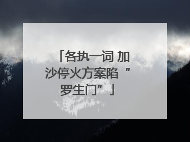 各执一词 加沙停火方案陷“罗生门”