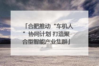 合肥推动“车机人”协同计划 打造聚合型智能产业集群