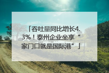 吞吐量同比增长4.3%！泰州企业坐享“家门口就是国际港”
