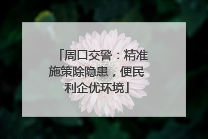 周口交警：精准施策除隐患，便民利企优环境