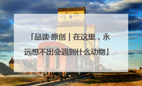 品读·原创｜在这里，永远想不出会遇到什么动物