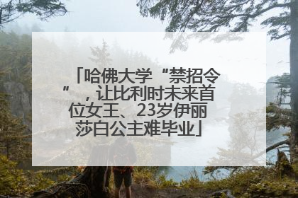 哈佛大学“禁招令”，让比利时未来首位女王、23岁伊丽莎白公主难毕业