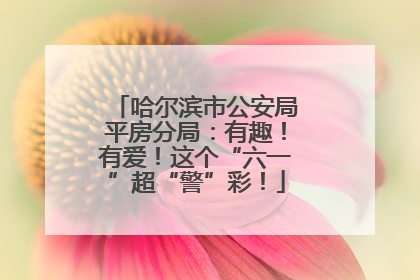 哈尔滨市公安局平房分局：有趣！有爱！这个“六一”超“警”彩！