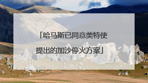 哈马斯已同意美特使提出的加沙停火方案