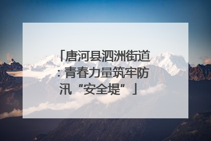 唐河县泗洲街道：青春力量筑牢防汛“安全堤”