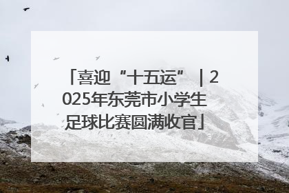 喜迎“十五运”｜2025年东莞市小学生足球比赛圆满收官
