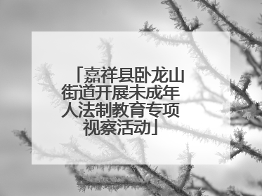 嘉祥县卧龙山街道开展未成年人法制教育专项视察活动