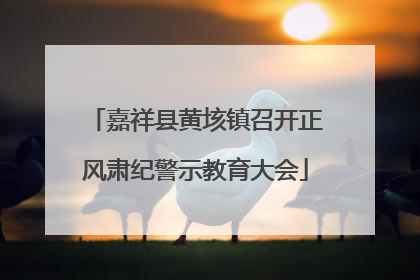 嘉祥县黄垓镇召开正风肃纪警示教育大会