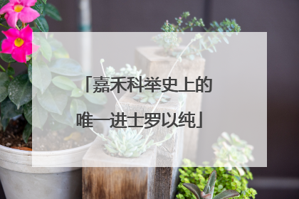 嘉禾科举史上的唯一进士罗以纯
