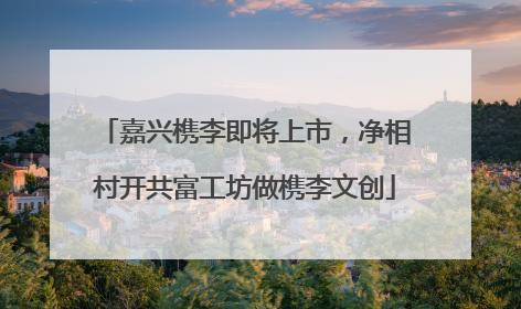 嘉兴槜李即将上市，净相村开共富工坊做槜李文创