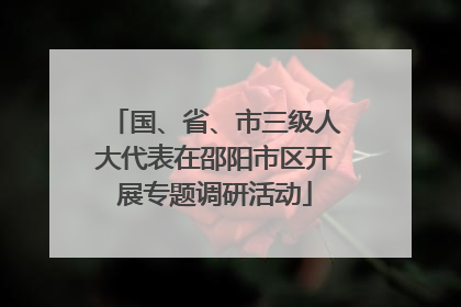 国、省、市三级人大代表在邵阳市区开展专题调研活动