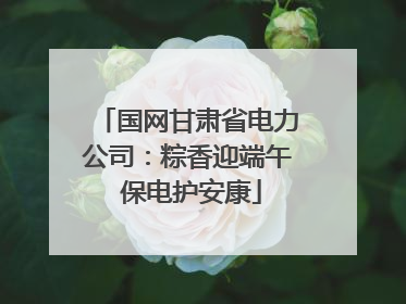 国网甘肃省电力公司：粽香迎端午 保电护安康