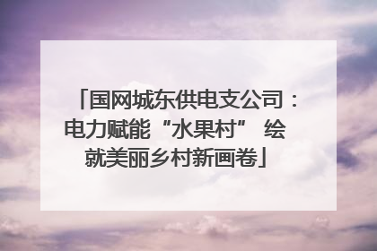 国网城东供电支公司：电力赋能“水果村” 绘就美丽乡村新画卷
