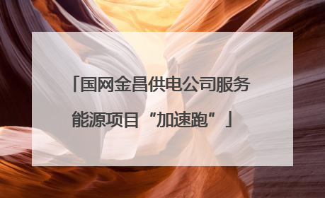 国网金昌供电公司服务能源项目“加速跑”