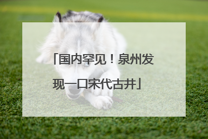 国内罕见！泉州发现一口宋代古井