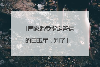 国家监委指定管辖的田玉军，判了