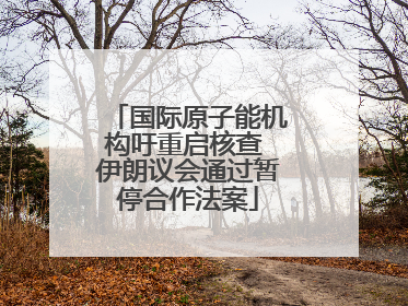 国际原子能机构吁重启核查 伊朗议会通过暂停合作法案