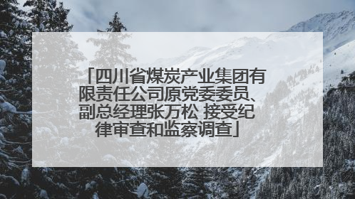 四川省煤炭产业集团有限责任公司原党委委员、副总经理张万松 接受纪律审查和监察调查