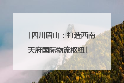 四川眉山：打造西南天府国际物流枢纽