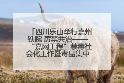 四川乐山举行嘉州铁腕 厉禁共治——“嘉网工程”禁毒社会化工作暨毒品集中销毁启动仪式