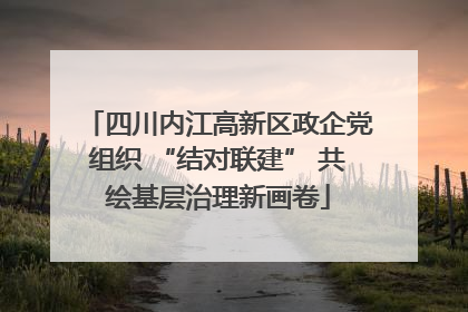 四川内江高新区政企党组织 “结对联建” 共绘基层治理新画卷