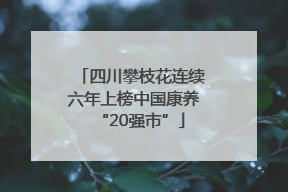 四川攀枝花连续六年上榜中国康养“20强市”