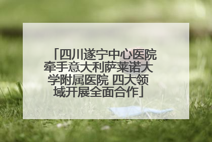四川遂宁中心医院牵手意大利萨莱诺大学附属医院 四大领域开展全面合作