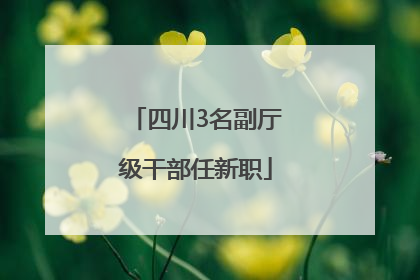 四川3名副厅级干部任新职
