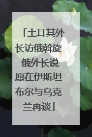 土耳其外长访俄斡旋 俄外长说愿在伊斯坦布尔与乌克兰再谈
