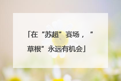 在“苏超”赛场，“草根”永远有机会