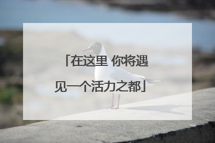 在这里 你将遇见一个活力之都