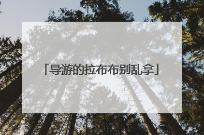 导游的拉布布别乱拿