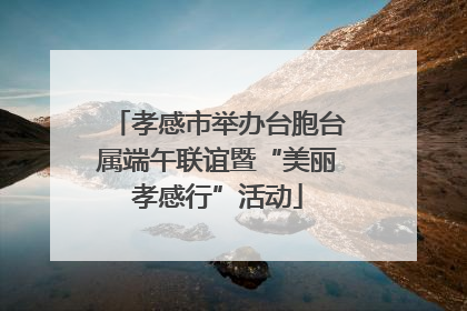 孝感市举办台胞台属端午联谊暨“美丽孝感行”活动