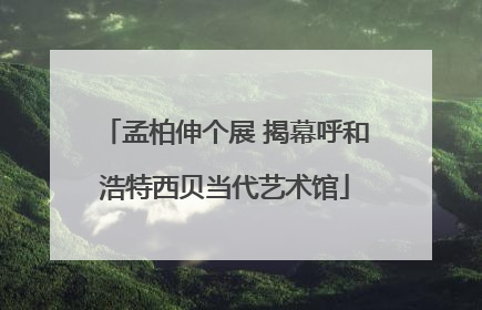 孟柏伸个展 揭幕呼和浩特西贝当代艺术馆