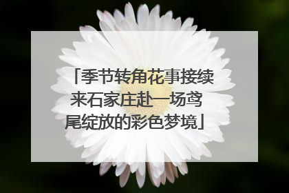 季节转角花事接续 来石家庄赴一场鸢尾绽放的彩色梦境