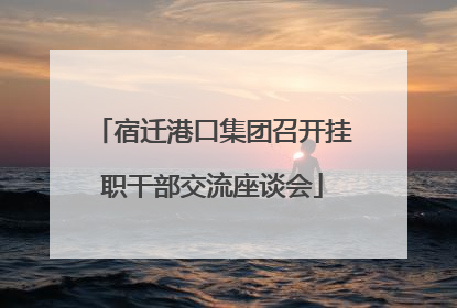 宿迁港口集团召开挂职干部交流座谈会