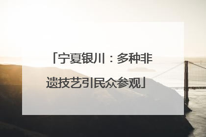宁夏银川：多种非遗技艺引民众参观